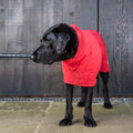 Dog Drying Coat product image 1