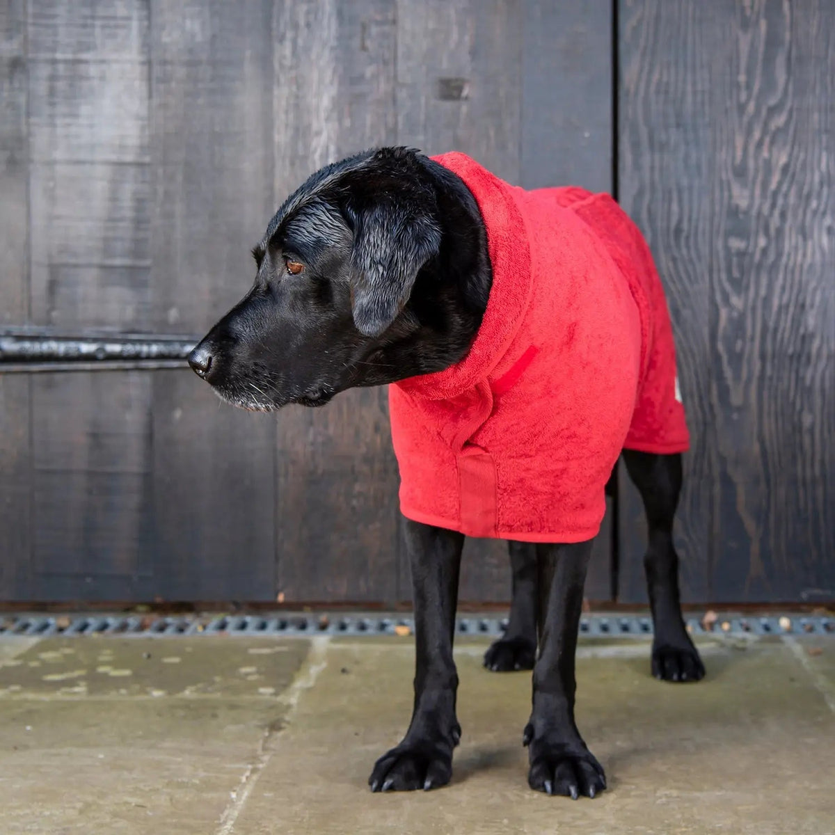 Dog Drying Coat product image 1