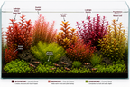 Aquarium Plant Bundle product image 2