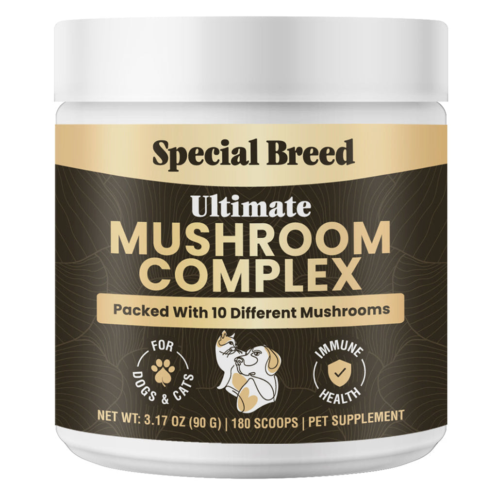 Mushroom Supplement product image 1