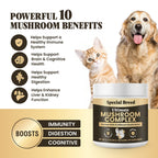 Mushroom Supplement product image 2
