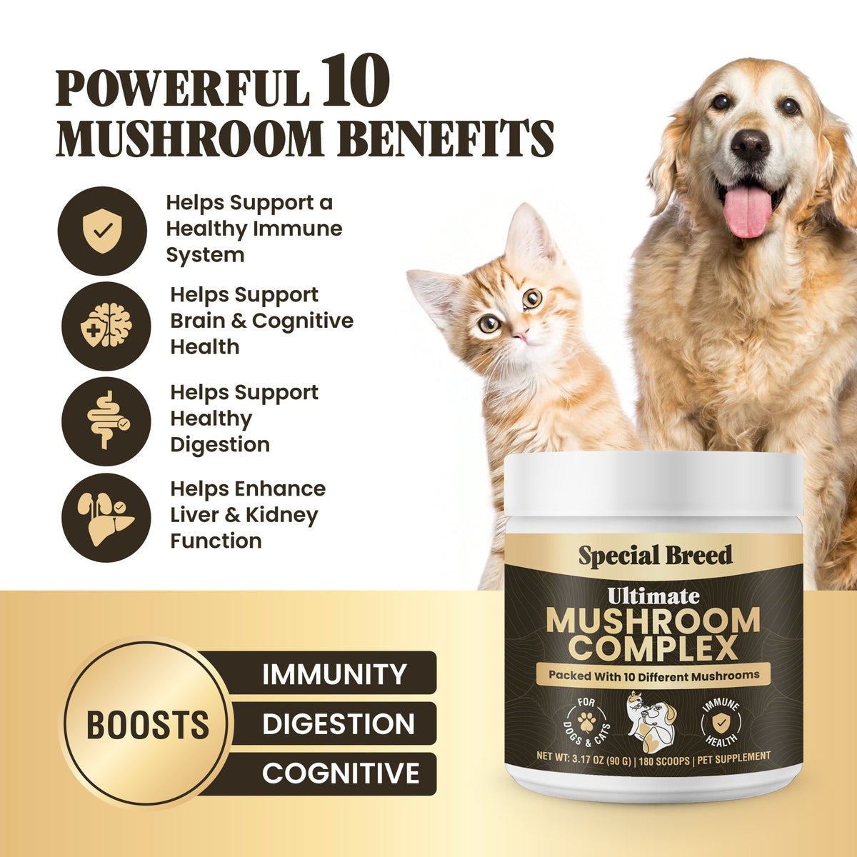 Mushroom Supplement product image 2