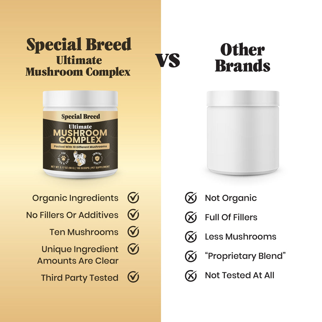 Mushroom Supplement product image 3