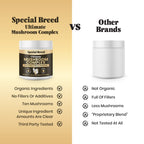 Mushroom Supplement product image 3
