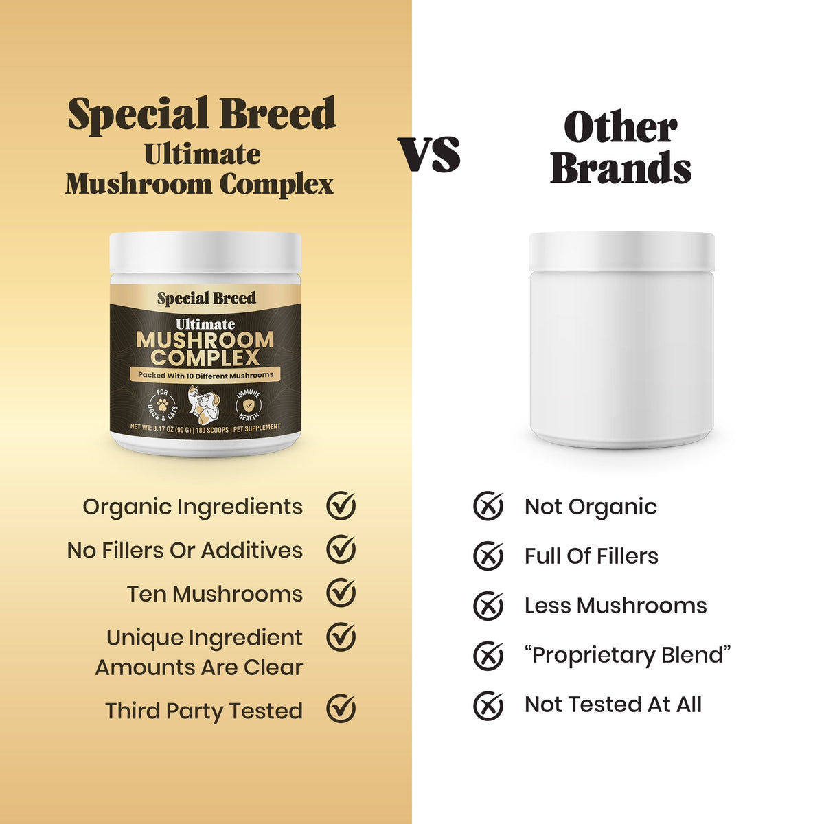 Mushroom Supplement product image 3