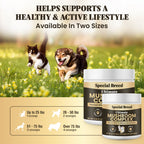 Mushroom Supplement product image 6