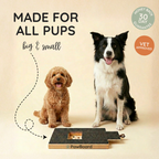 Dog Nail Scratch Board product image 1