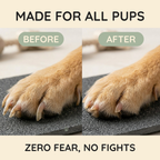 Dog Nail Scratch Board product image 3