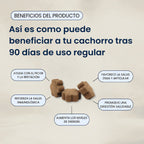 Dog Multivitamin Soft Chews product image 4