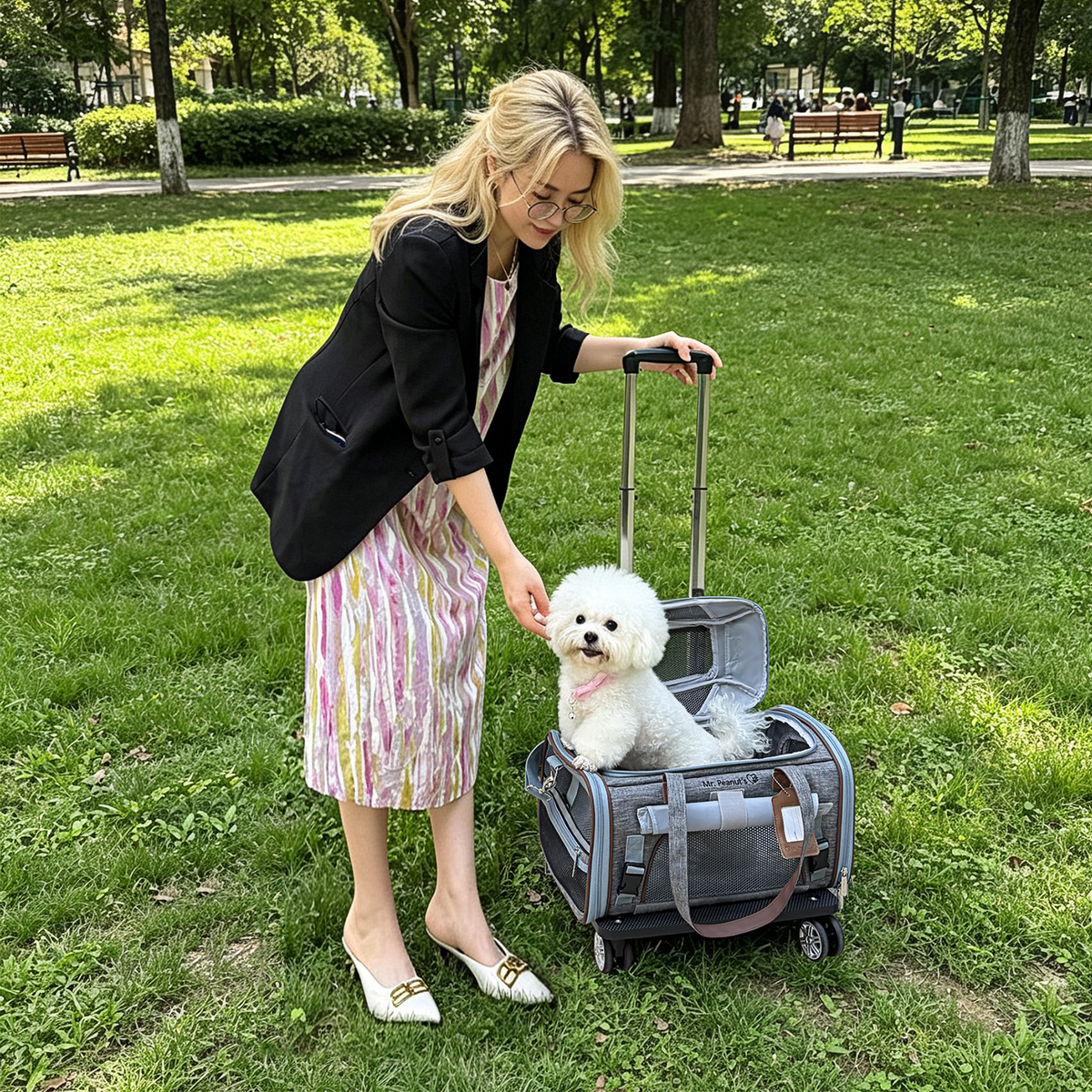 Expandable Pet Carrier product image 7
