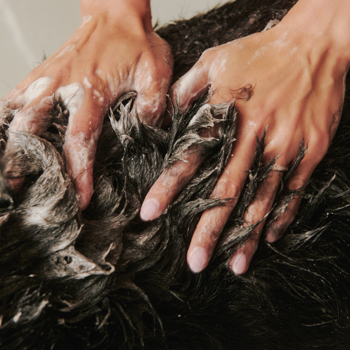 Dog Shampoo Set product image 2