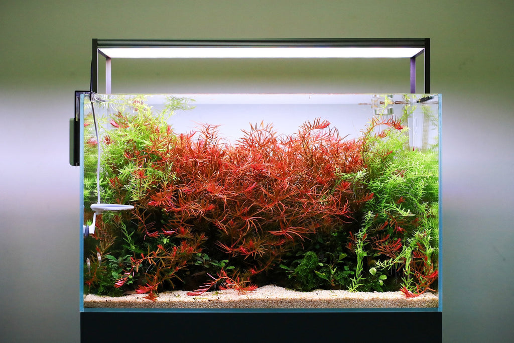 Aquarium Light product image 2
