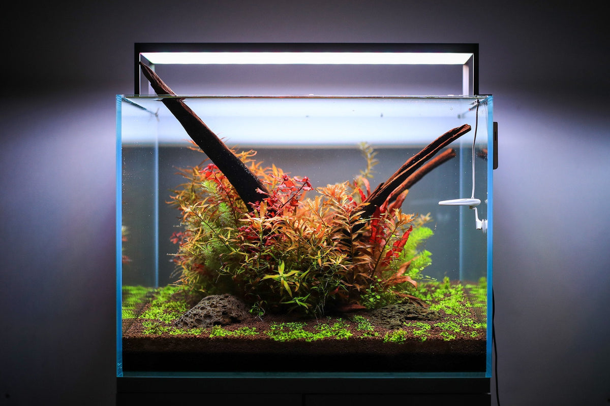 Aquarium Light product image 4