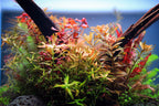 Aquarium Light product image 6