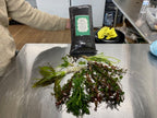 Aquarium Starter Kit product image 1