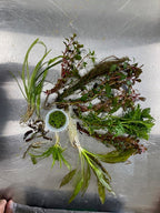 Aquarium Starter Kit product image 2