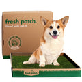 Disposable Grass Dog Potty Pad, Default Title