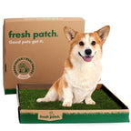 Disposable Grass Dog Potty Pad, Default Title