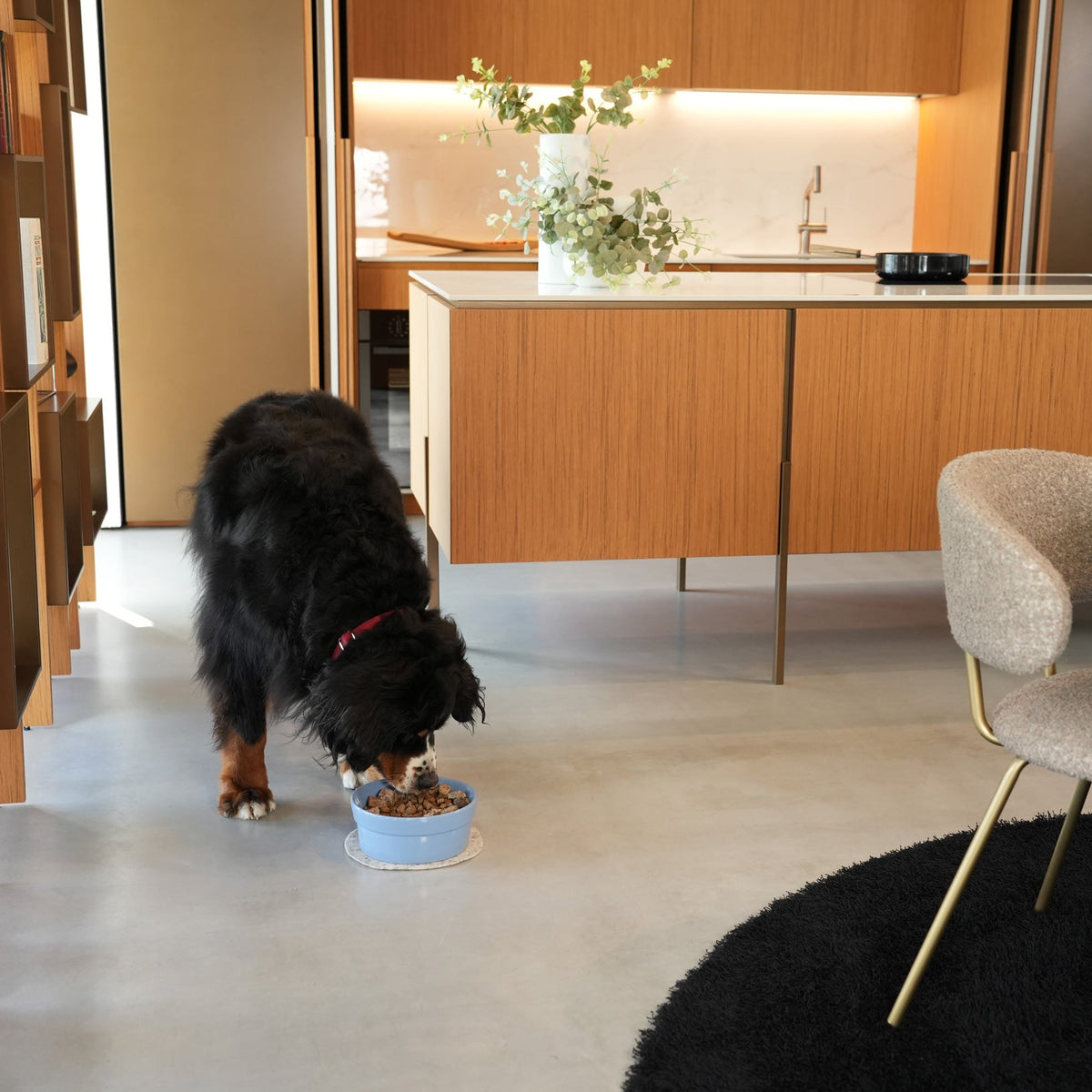 Ceramic Pet Bowl product image 3