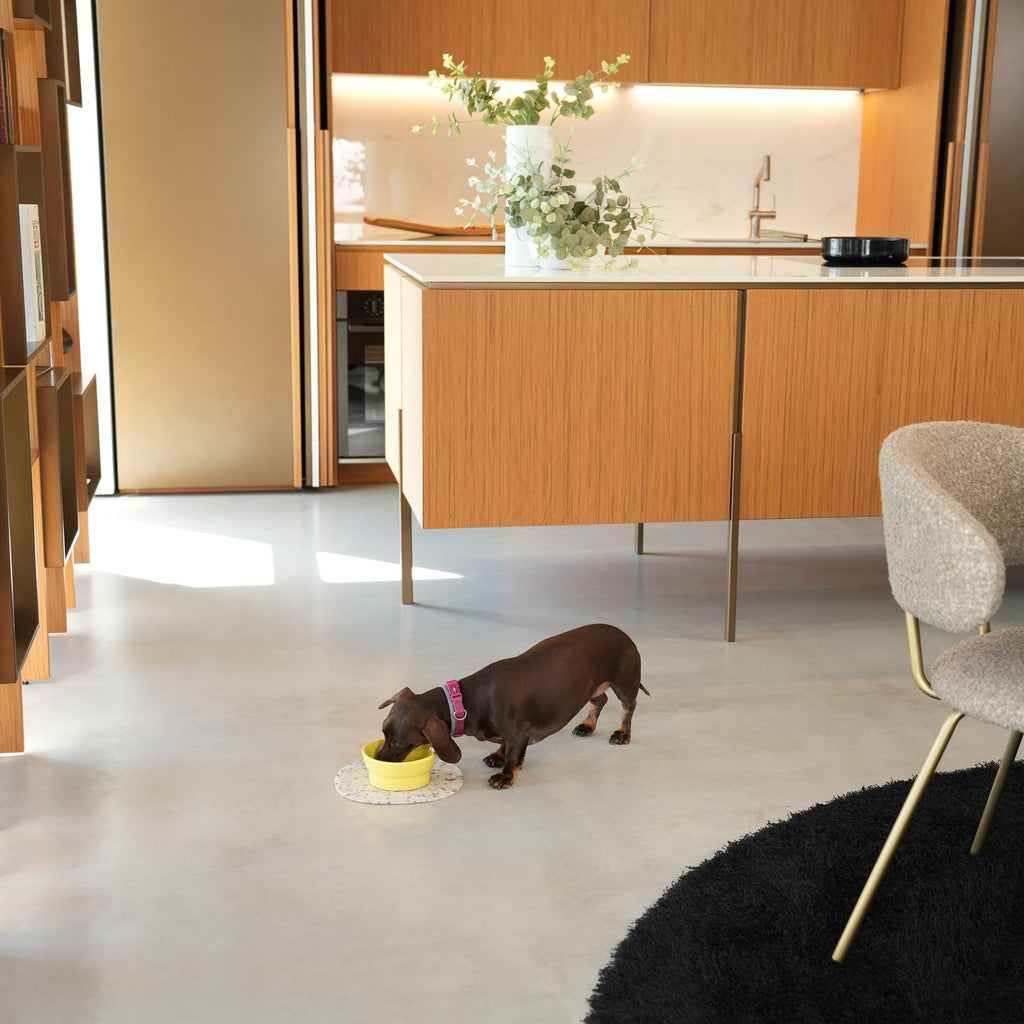 Ceramic Pet Bowl product image 4