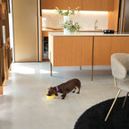 Ceramic Pet Bowl product image 4