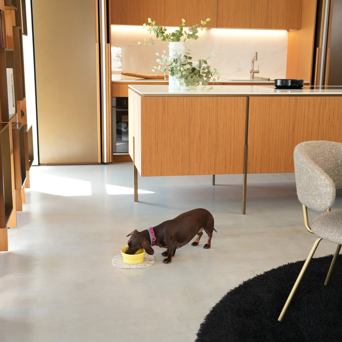 Ceramic Pet Bowl product image 4