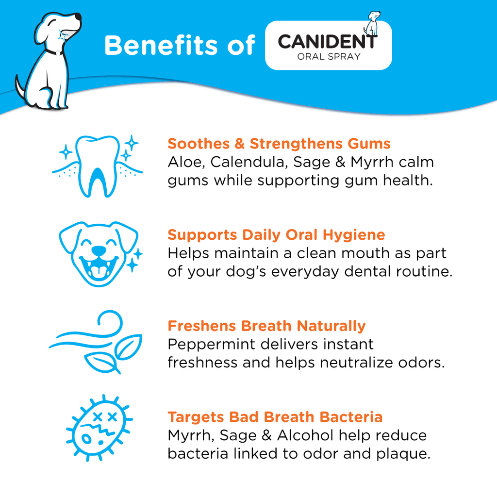 Dog Dental Spray product image 2