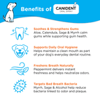 Dog Dental Spray product image 2