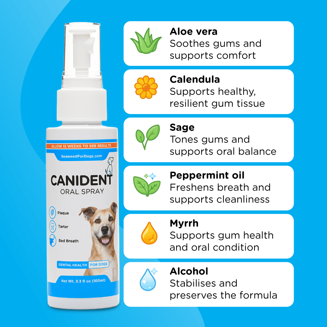 Dog Dental Spray product image 3