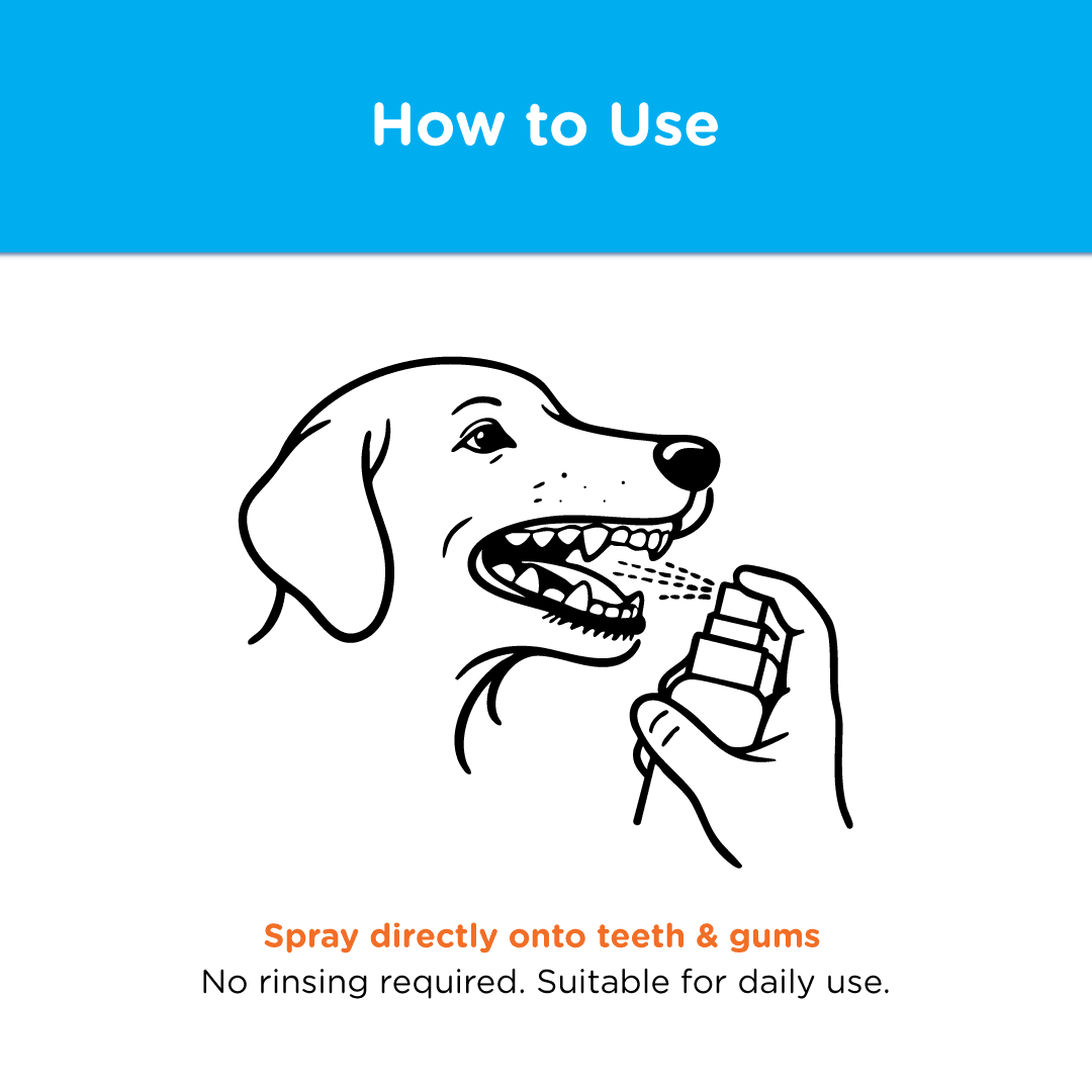 Dog Dental Spray product image 4