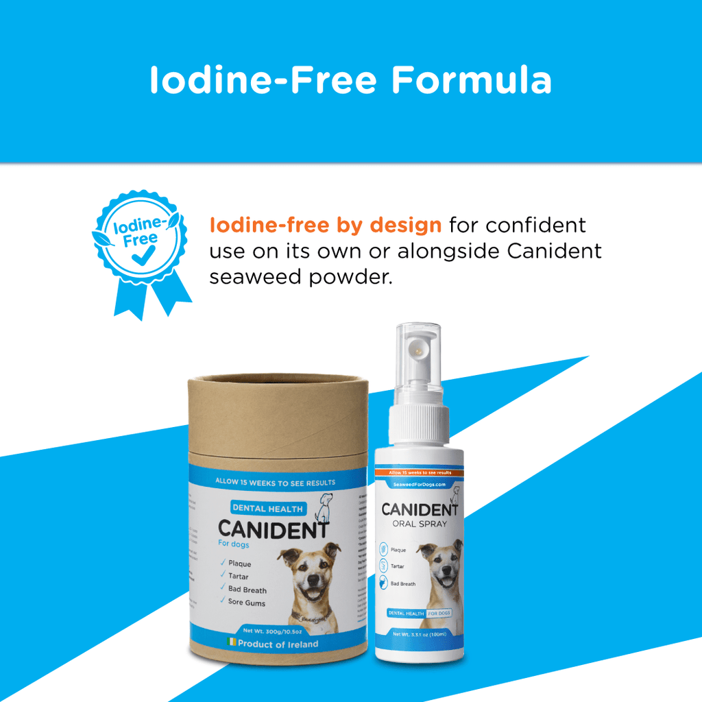 Dog Dental Spray product image 5
