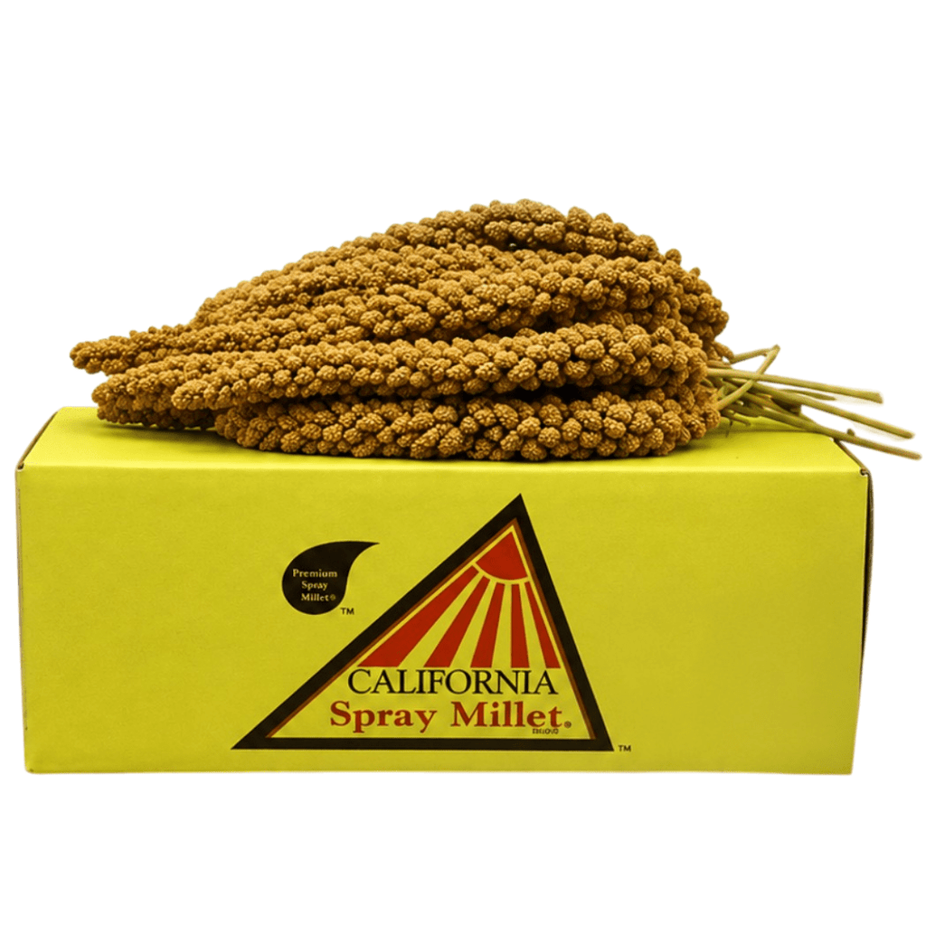 Millet Spray product image 1