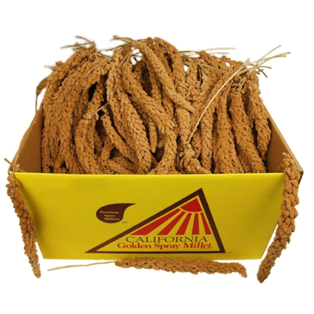 Millet Spray product image 2