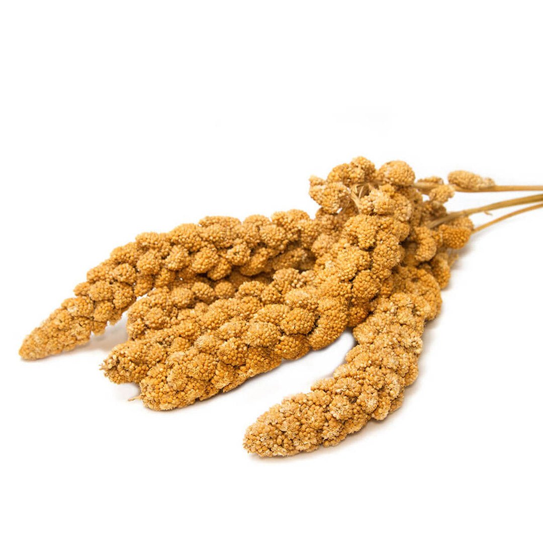 Millet Spray product image 3