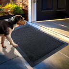 Outdoor Muddy Paw Mesh Door Mat product image 3
