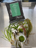 Aquarium Starter Kit product image 1