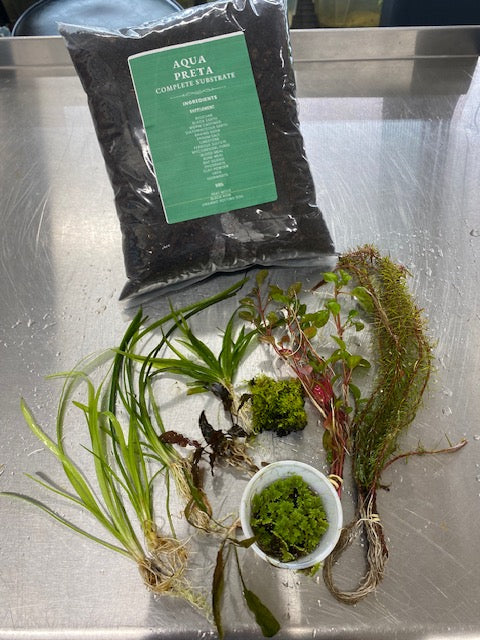 Aquarium Starter Kit product image 1