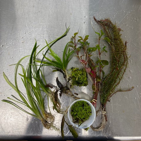 Aquarium Starter Kit product image 2