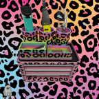 Dog Grooming Toolbox Inserts product image 8