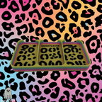 Dog Grooming Toolbox Inserts product image 13