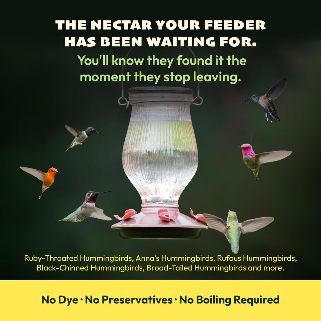 Hummingbird Nectar Powder product image 4