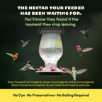 Hummingbird Nectar Powder product image 4