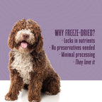 Freeze-Dried Dog Food product image 5