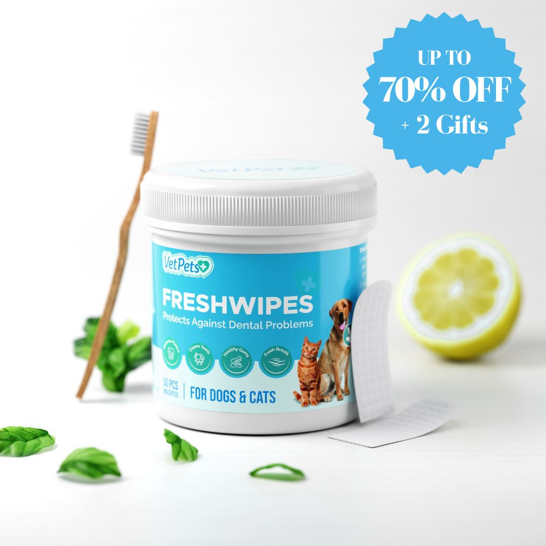 Pet Dental Wipes product image 1