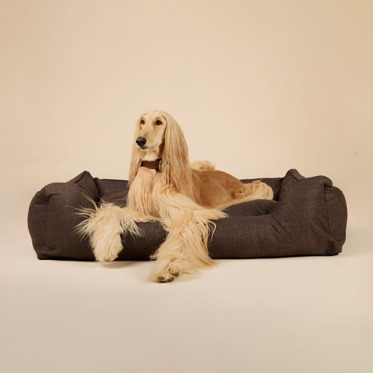 Orthopedic Dog Bed product image 10