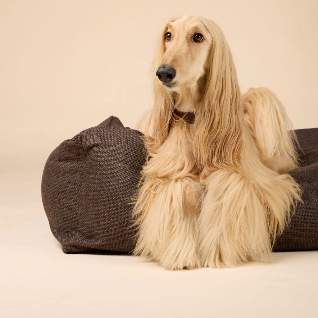 Orthopedic Dog Bed product image 11
