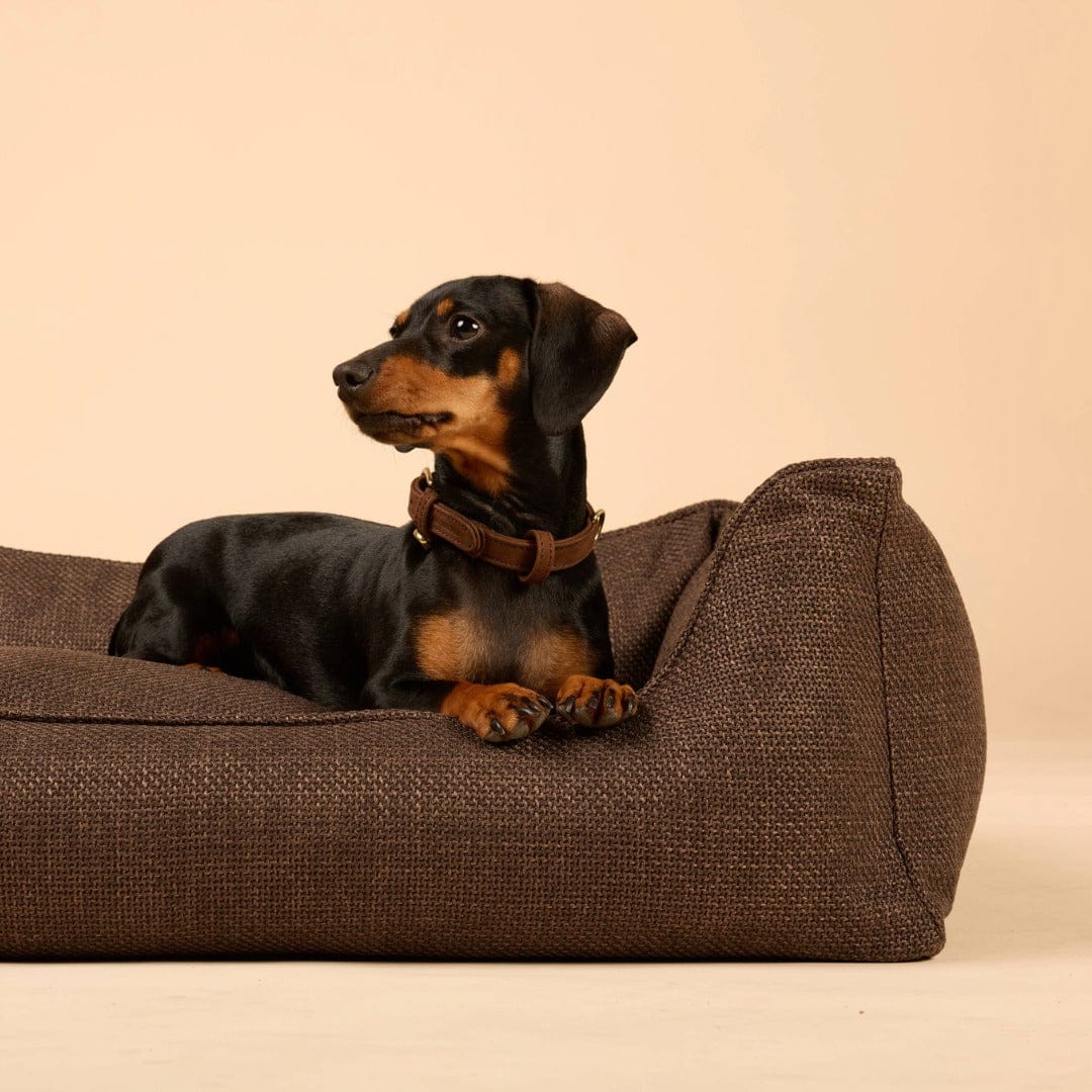 Orthopedic Dog Bed product image 12
