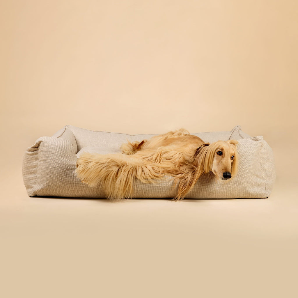 Orthopedic Dog Bed product image 24