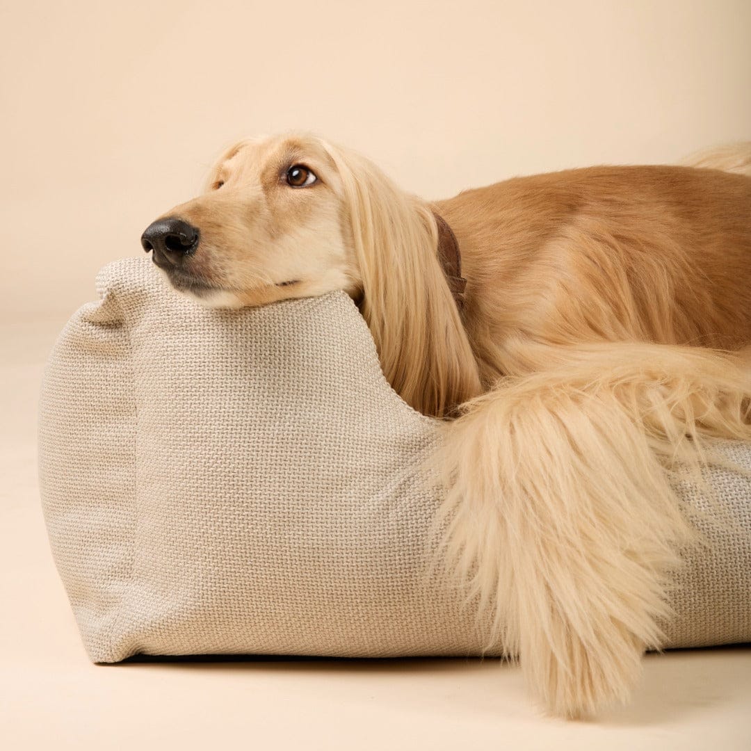 Orthopedic Dog Bed product image 25
