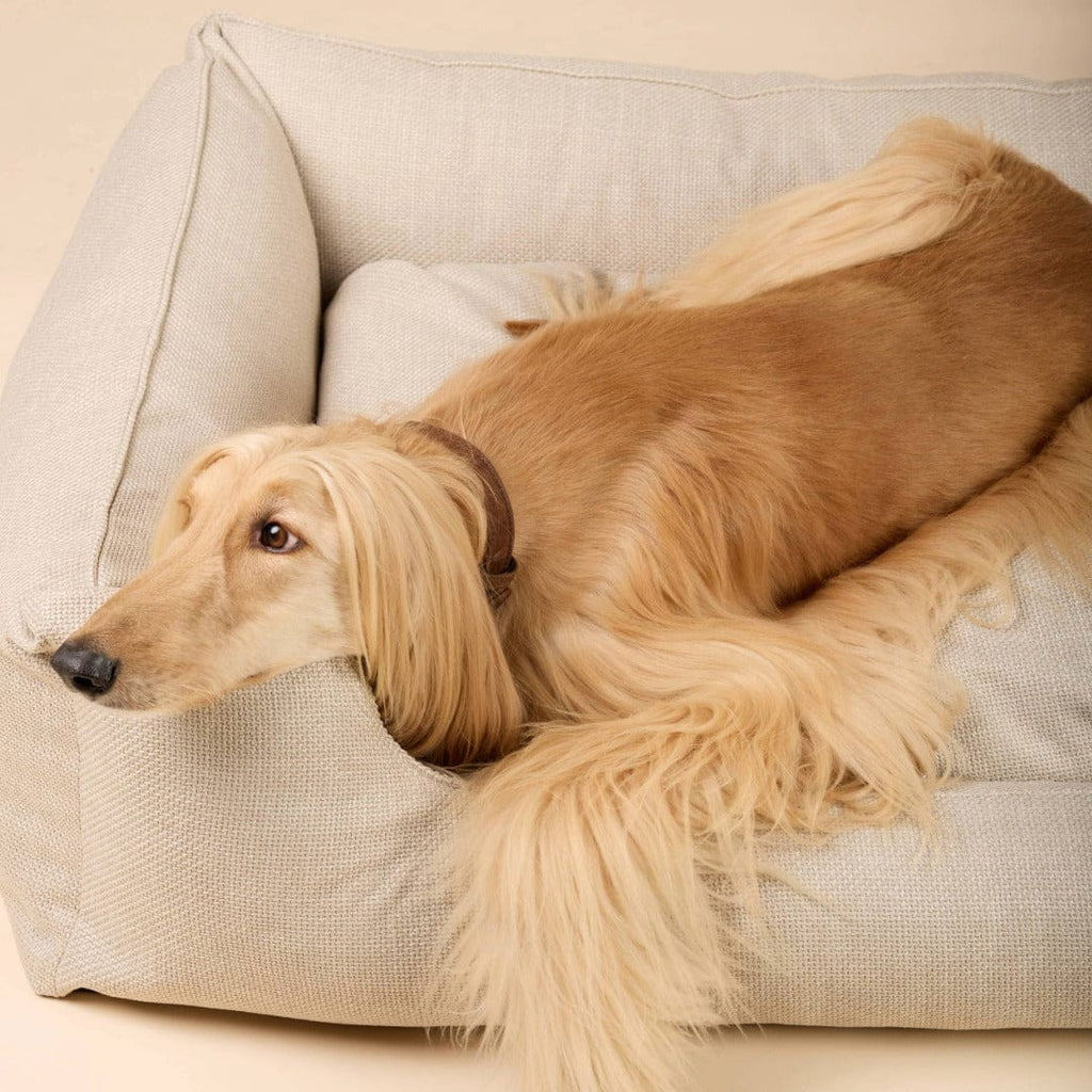 Orthopedic Dog Bed product image 26